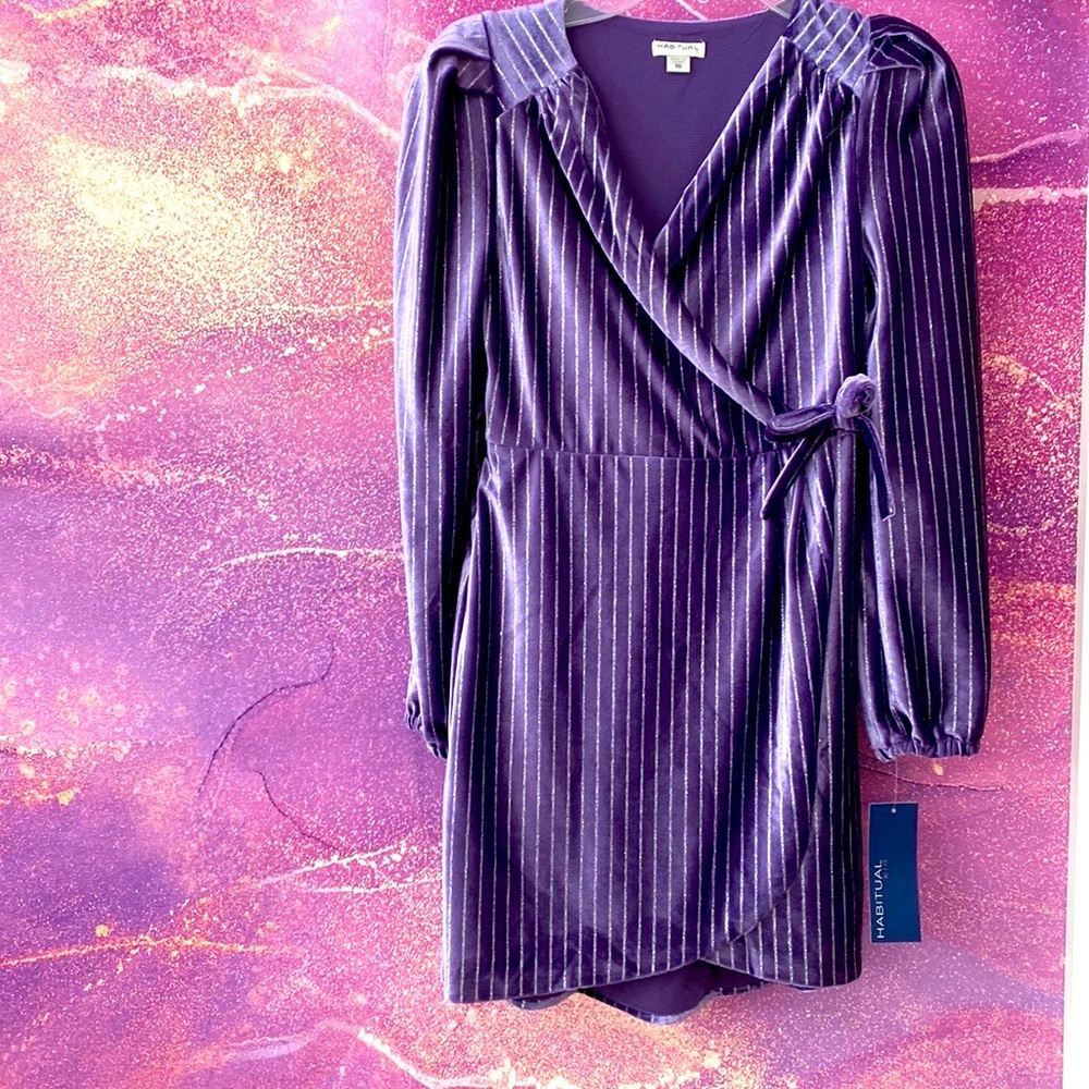 Girl’s purple velvet Habitual Kids dress size 10